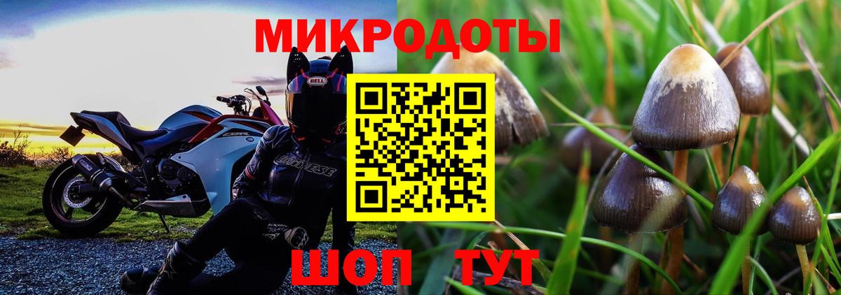 Псилоцибиновые грибы GOLDEN TEACHER Гусев