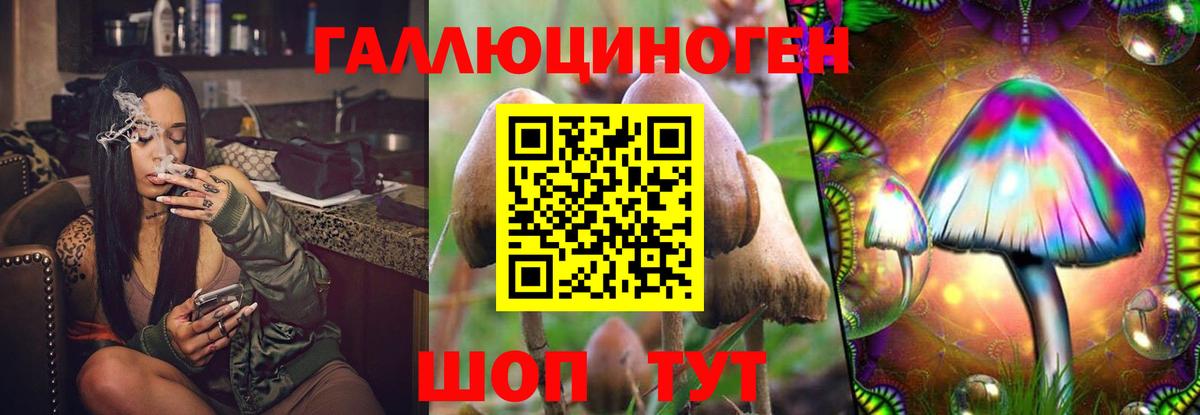 Гусев  Галлюциногенные грибы GOLDEN TEACHER  Вход с VPN  цены   Галлюциногенные грибы Cubensis 